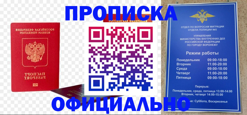 прописка иностранных граждан в Заринске
